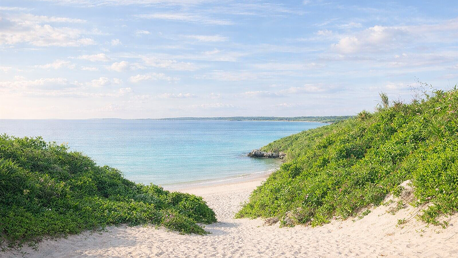 春の沖縄のビーチへ続く砂の小道と青い海